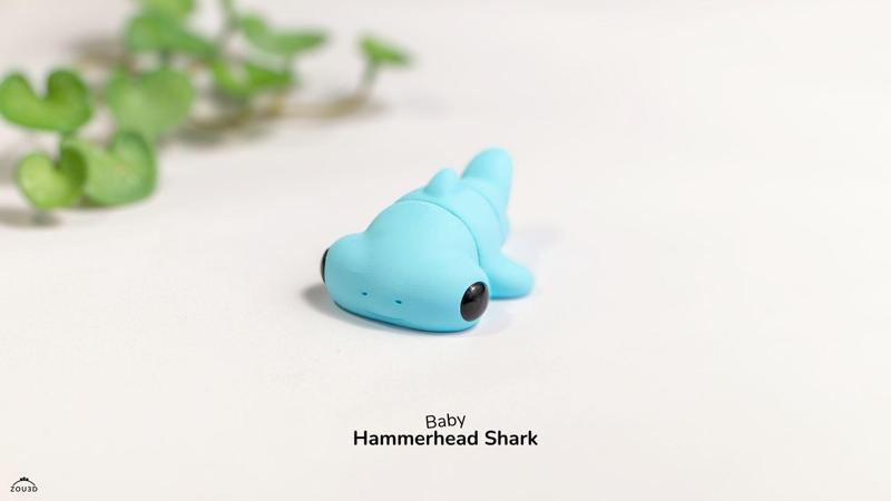 Baby Hammerhead Shark