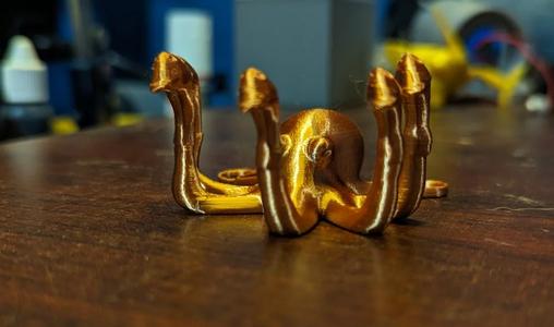 Goosetopus