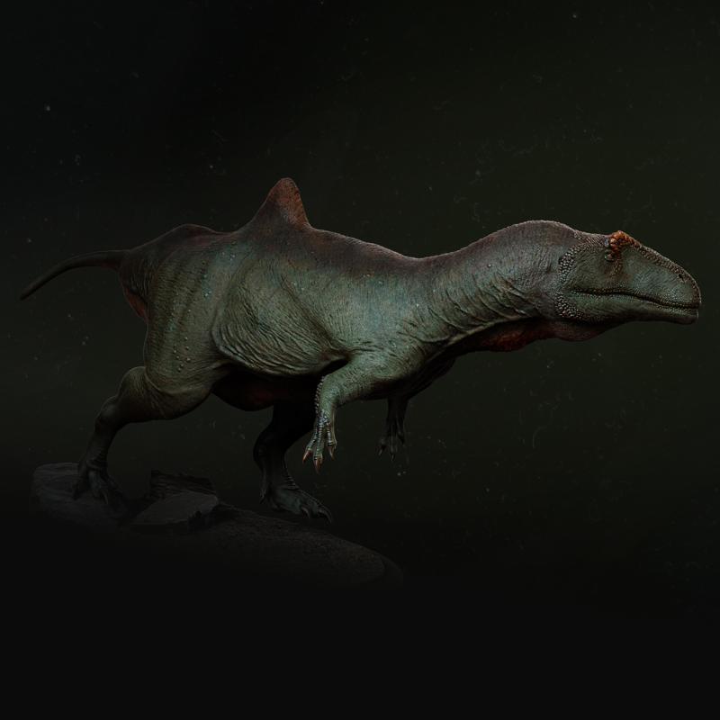 Concavenator chasing 1-35 scale pre-supported dinosaur FREE model