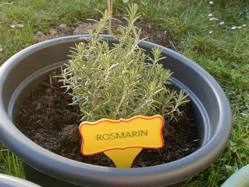Customizable Plant Tag