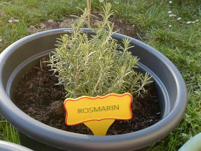 Customizable Plant Tag