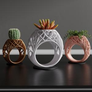 Ring of Life 💍