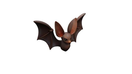 bat with huge ears