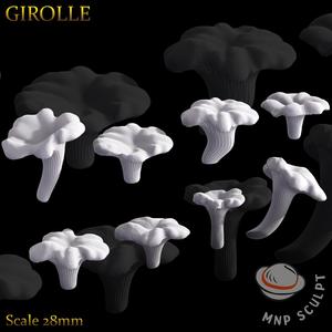 Girolle