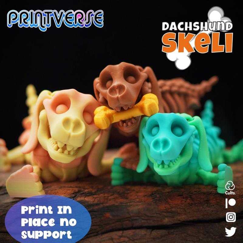 Flexy Dachshund Skeli
