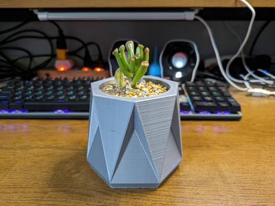 Geometric Shape-Succulent Plant Pot Design