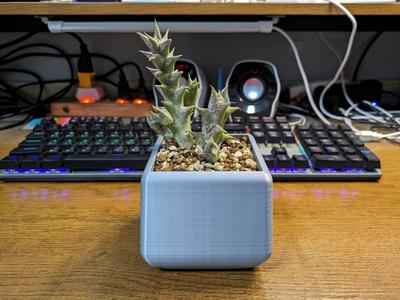 Arc Shape-Succulent Plant Pot Design