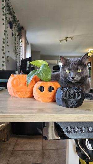 Spinny Halloween Pumpkin Planter