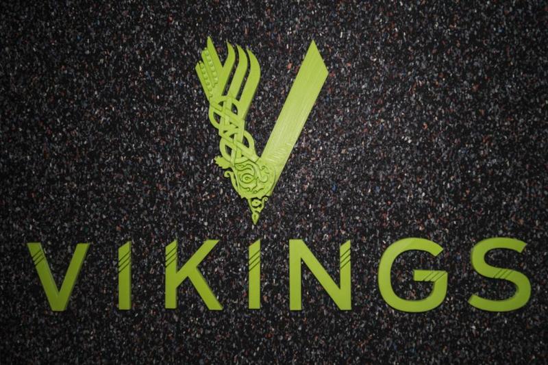 Vikings Logo