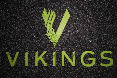Vikings Logo