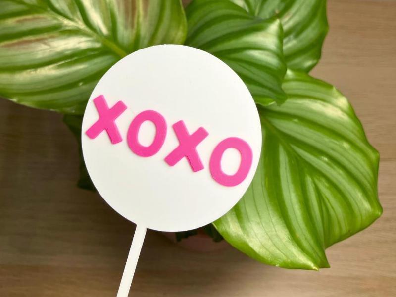 “XOXO” Cake Topper | Plant Gift Sign Tag