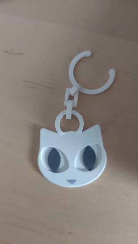 Bottle Tag Cat