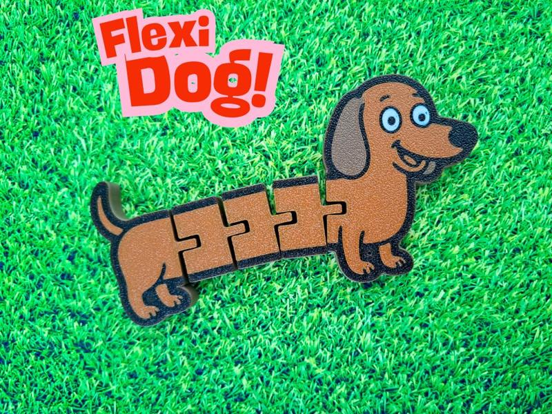 Sausage Dog Flexi