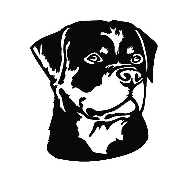 Rottweiler Dog Face - Wall Art
