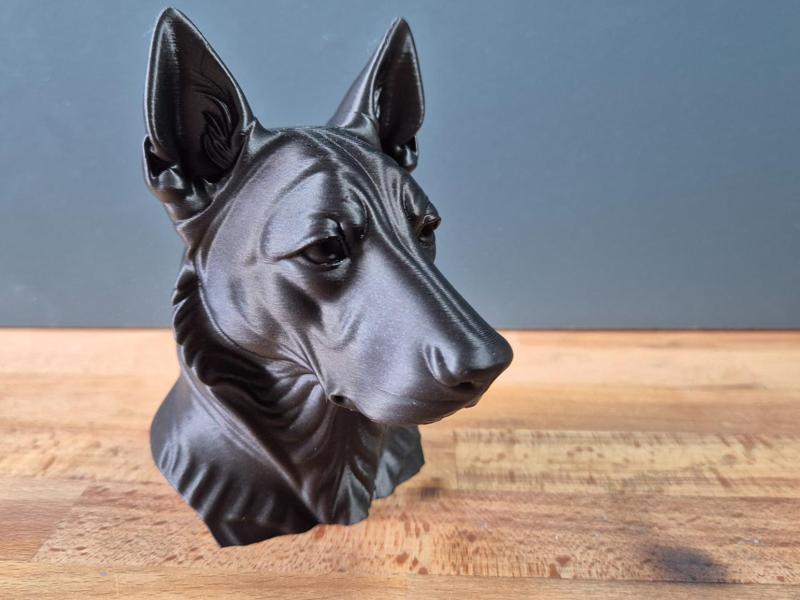 Dutch Shepherd Bust