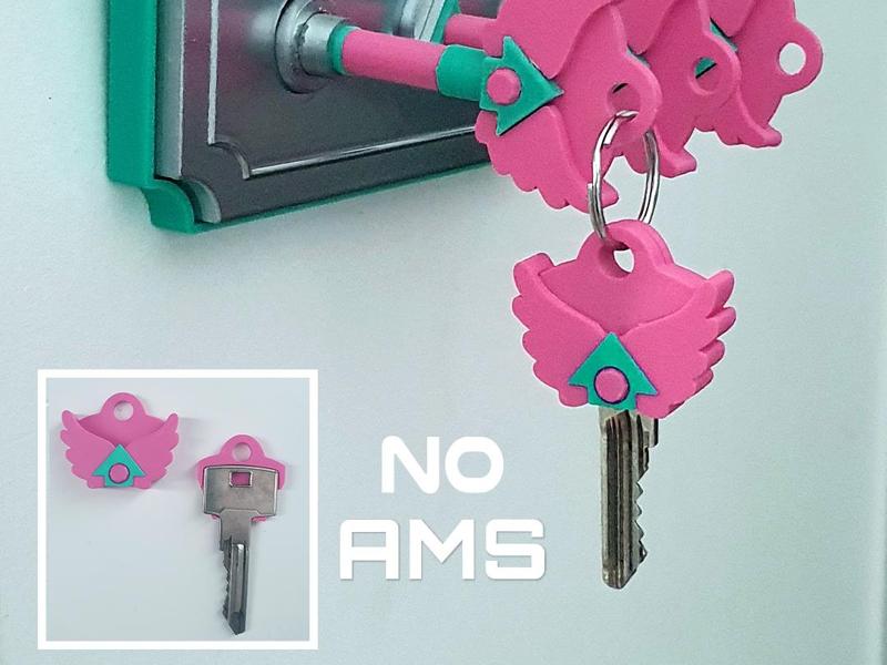 Squid Game inspired House Key cover AMS easy print