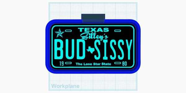 Gilleys Bud and sissy