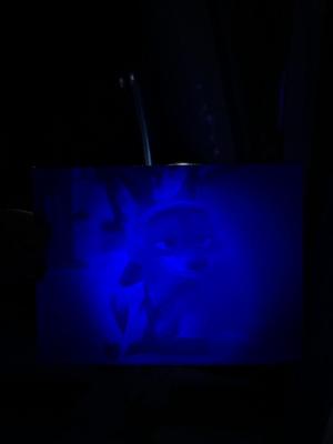 Zootopia Nick Wilde Lithophane