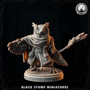 Nightcaller Warlock Blood-Beak Canopy Ghost 5E + Shadowdark .PDF!