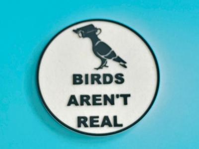Birds Aren’t Real!!!
