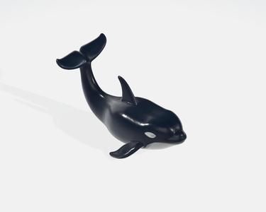 Orca killer whale 03