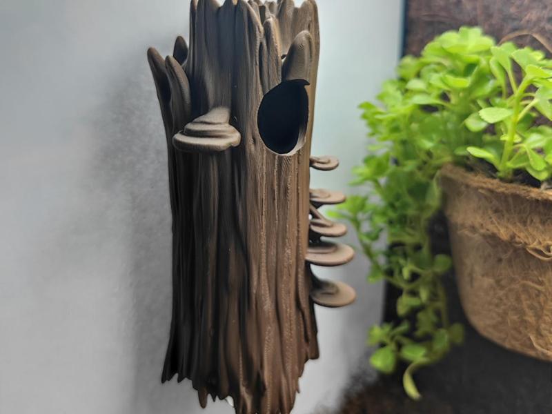 Jumping Spider House Tree Terrarium