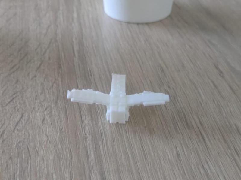 Dragon fly Grow a Garden