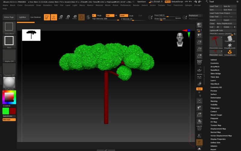🌲 Pine tree araucária