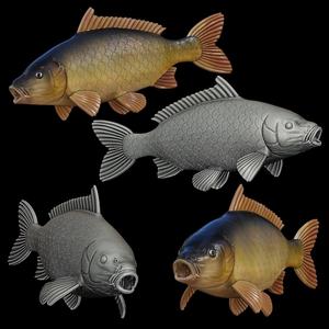 CARP / CYPRINUS CARPIO open mouth fish model for 3D printing