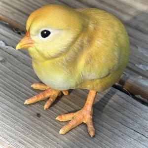 BABY CHICK