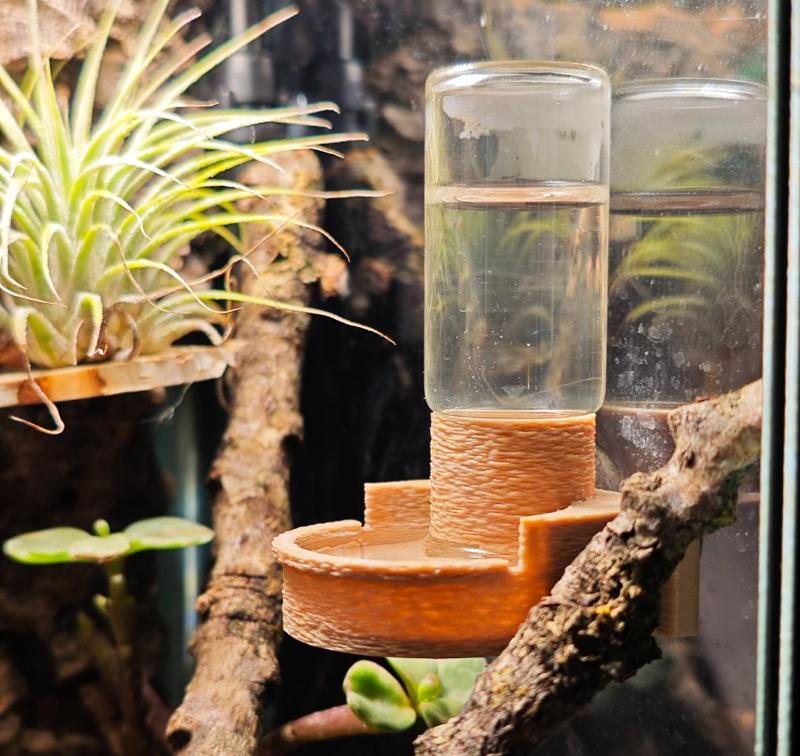 Jumping Spider Water Dish Terrarium with 10ml Bottle