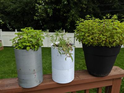 Mosquito-Proof Self Watering Planter
