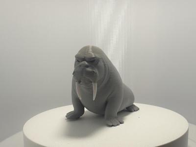 Grumpy Walrus