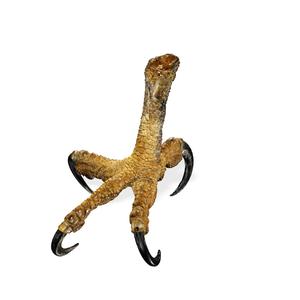 EAGLE CLAW BIRD ANATOMY Osprey Talon HEEL FOOT