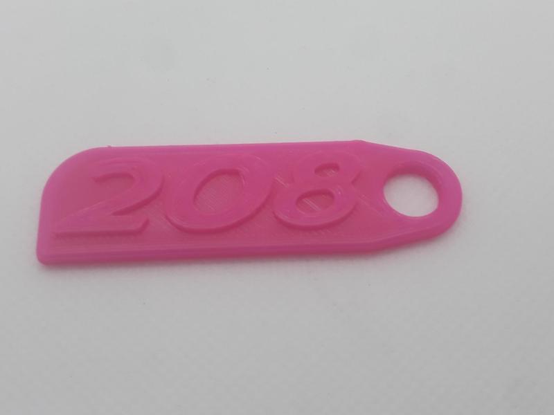 208 logo key ring
