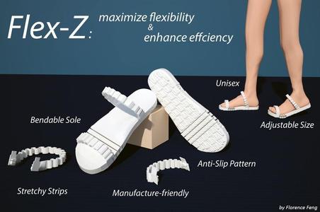Flex-Z: Flexible Shoe