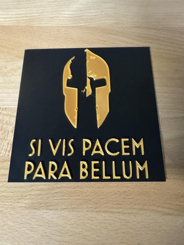 Si Vis Pacem Para Bellum