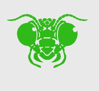 Mantis Head