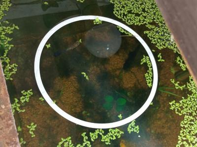 Surface Plant Separator for Aquariums