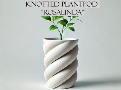 knotted plantpod "Rosalinda"