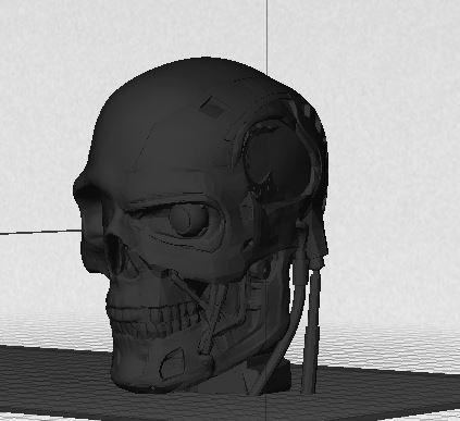 T-1000 Human Skull Hybrid - TT