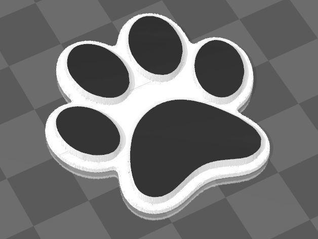 cat footprint