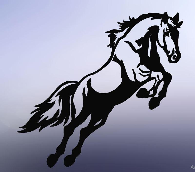 horse painting, 2d art horse, wall art horse, line art horse, horse decor, horse decoration