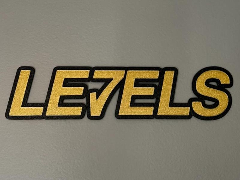 Avicii - Levels - Wall art