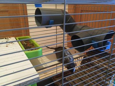 PVC Pipe Cage Support 