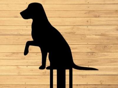 Golden Retriever 3D Bookmark - Cute dog bookmark