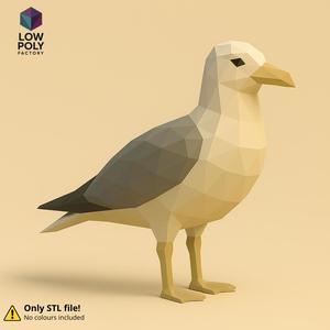 Seagull - Coastal seabird symbol of freedom Low Poly style
