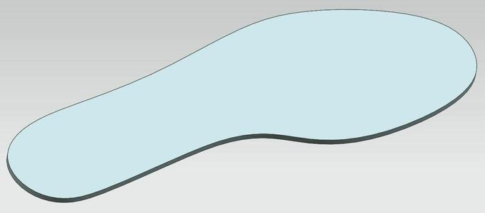 Shoe insole / template / shoe print