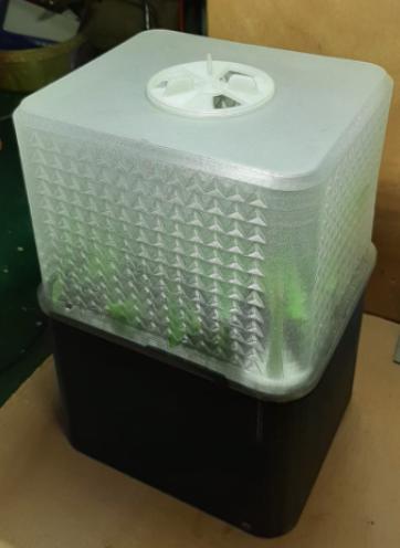 Aeroponic Cuttings Cloner Cuttings