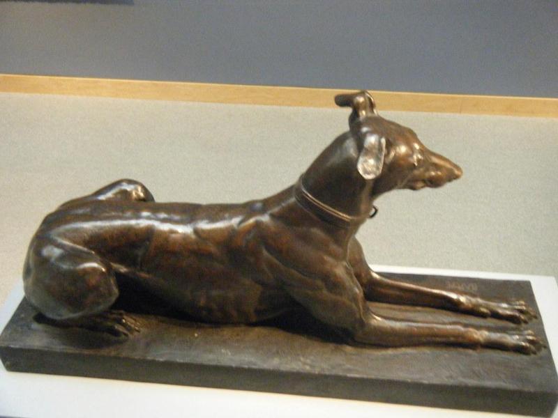 Tom, the Algerian Greyhound